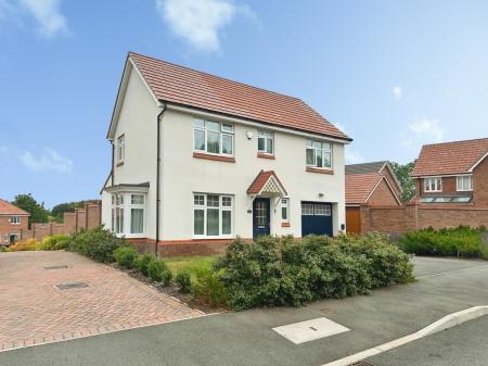 Media image 16
