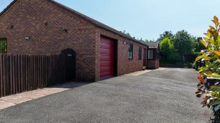 Media image 28