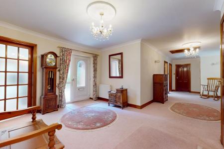 Media image 20