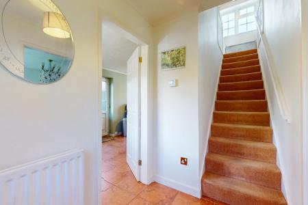 Media image 11