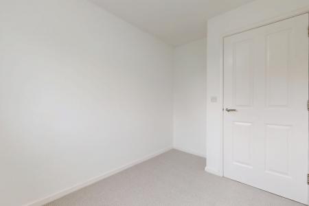 Media image 17