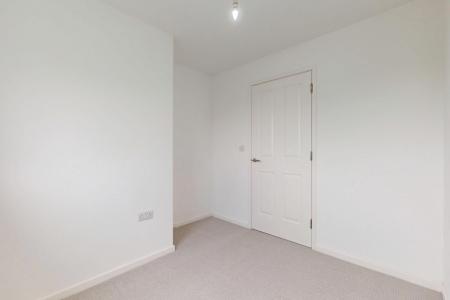 Media image 15