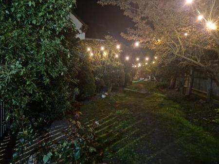 Sellers Night Image .jpg