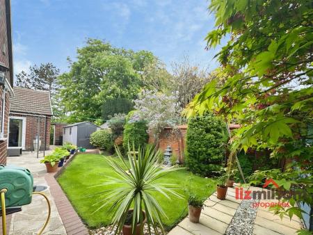 990a1be6-IMG_2350.JPG