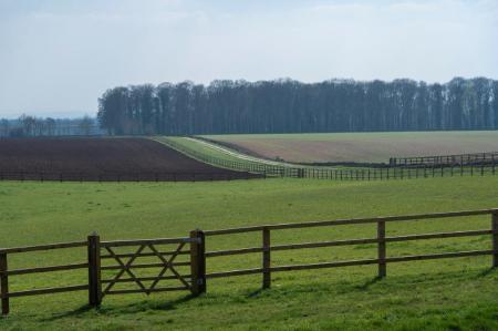 WhatsApp Image 2026-02-19 at 13.43.08.jpeg