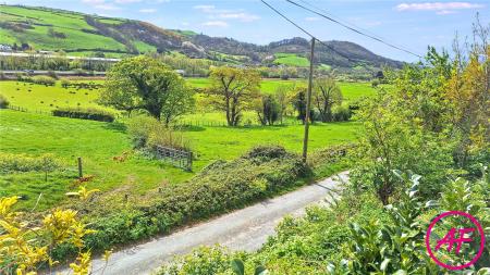 View From Garden