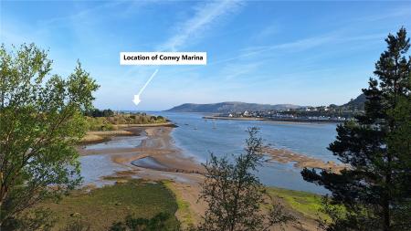 Marina Location
