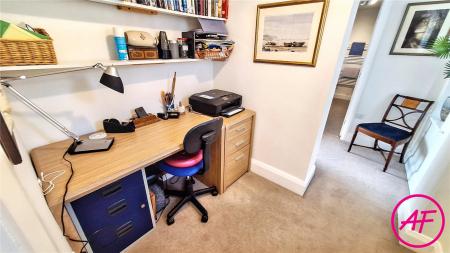 Study Principal Bed