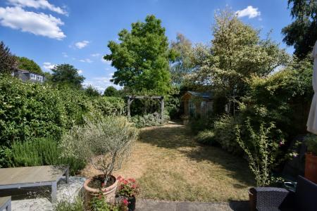 garden 7.png