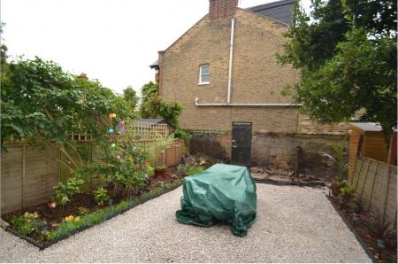garden.JPG