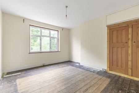 James_anderso ardens-tw10__17_.jpg