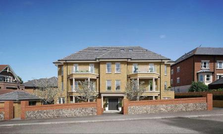 200220201137-main-image-1-well-main (1) (2)