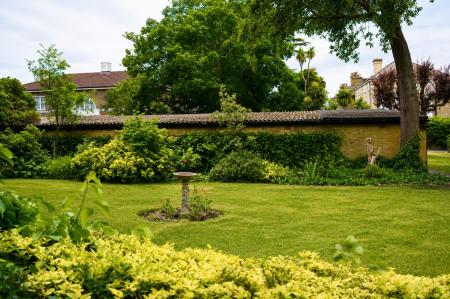 Communal garden 2.png