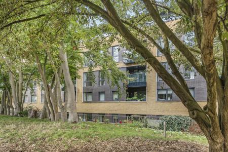 james_anderson_-_21_wagtails_court__14_.JPG