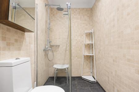 Shower Room 2.png