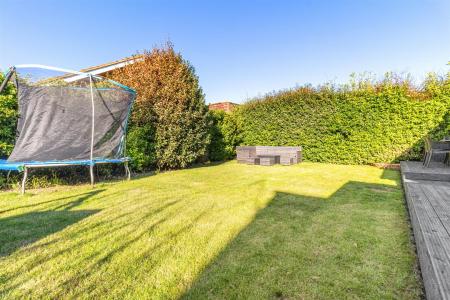 Marine  118 (2)-022.jpg