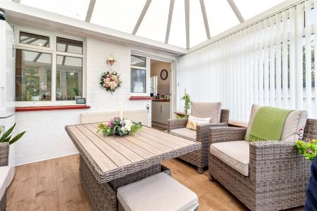 5 Hillview rose-016.jpg