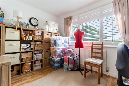 5 Hillview rose-007.jpg