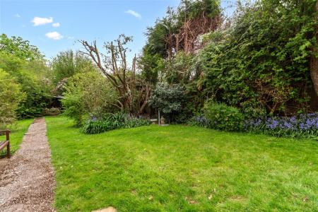 5 Hillview rose-017.jpg