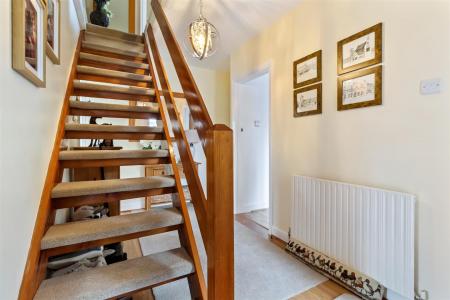 5 Hillview rose-021.jpg