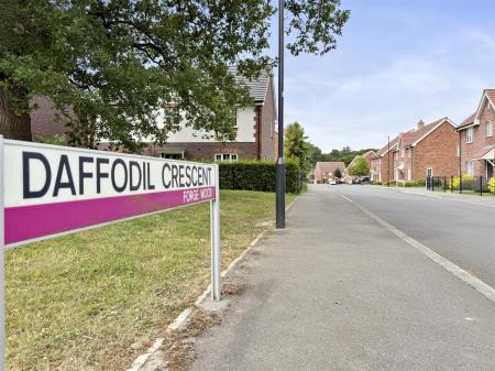 Dafodil Crescent, 7-003.JPG