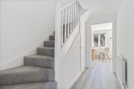 Windflower Chase 21-014.JPG