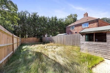 Windflower Chase 21-015.JPG