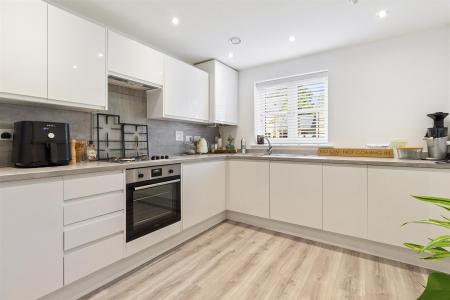 Windflower Chase 21-004.JPG