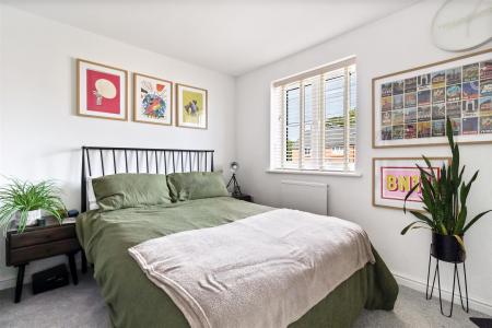 Windflower Chase 21-011.JPG