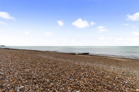 Seabright 44-012.JPG