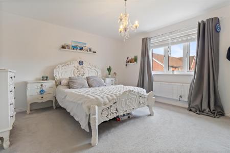 8 Bellflower close-008.jpg