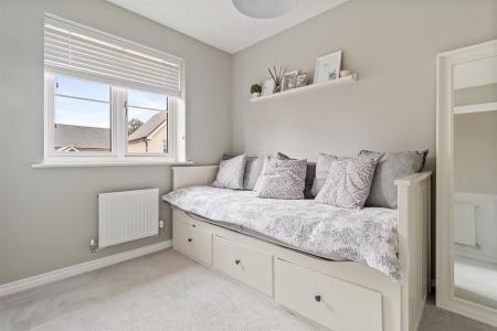 8 Bellflower close-015.jpg