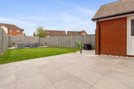 8 Bellflower close-016.jpg