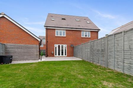 8 Bellflower close-019.jpg