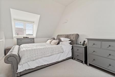 8 Bellflower close-011.jpg