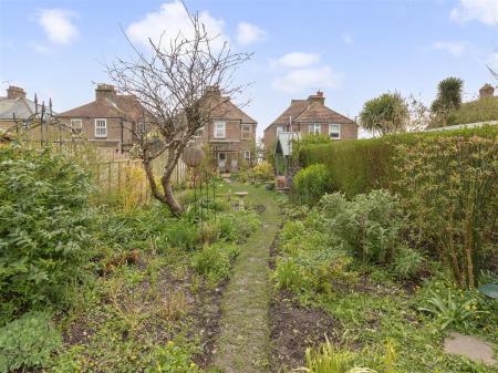 new road garden shots-007.jpg