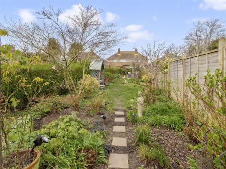 new road garden shots-003.jpg