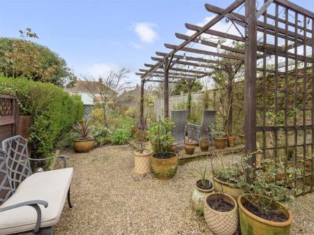 new road garden shots-002.jpg