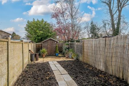 Yorke Road - Garden.jpg