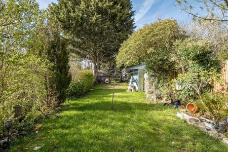 Frankland Road - Garden.jpg