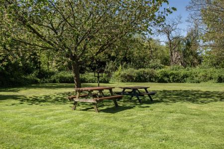 Sycamore Road - Communal Grounds.jpg