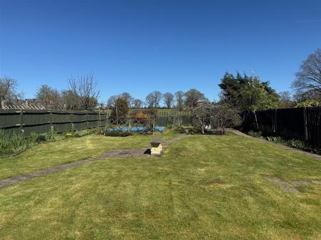 Garden 3.jpg