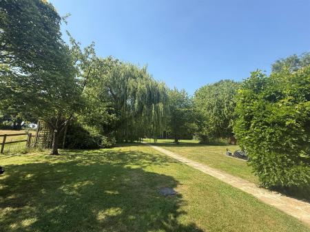 Garden.jpg
