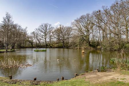 Four Elms Duck Pond.jpg