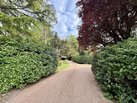 Driveway.jpg