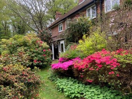 Garden.jpg