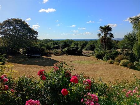 IMG_20260727_083000_HDR.jpg