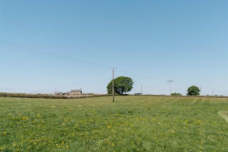 Externals-5.jpg
