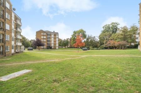 1365295-19-68ecd1...