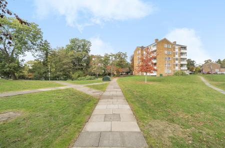 1365295-20-68ecd1...